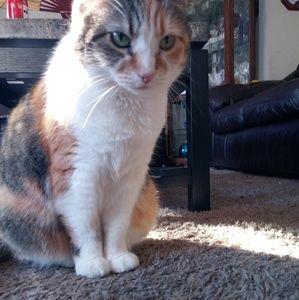 Meet your Posher, Zainab